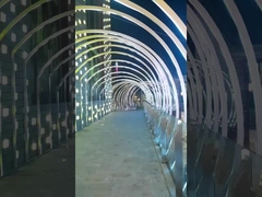 IP68 Υποβρύχιο Neon Flex 24V Υλικά TPU Ευέλικτη λωρίδα LED για χρήση πισίνας